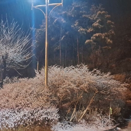 피드에 업로드 된 이미지