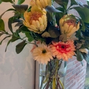 피드 작성자 프로필