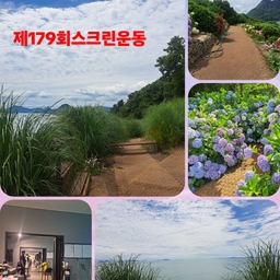 피드에 업로드 된 이미지