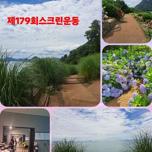 피드 이미지