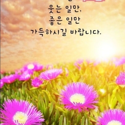 피드에 업로드 된 이미지