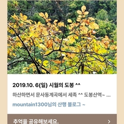 피드에 업로드 된 이미지