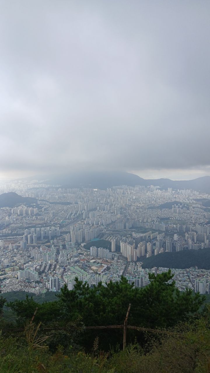 피드 이미지