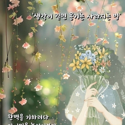피드에 업로드 된 이미지
