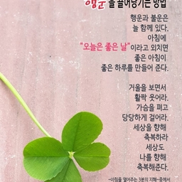 피드에 업로드 된 이미지