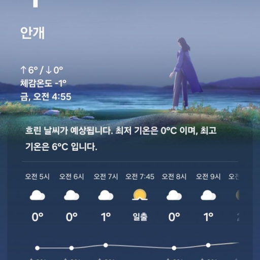 피드 이미지
