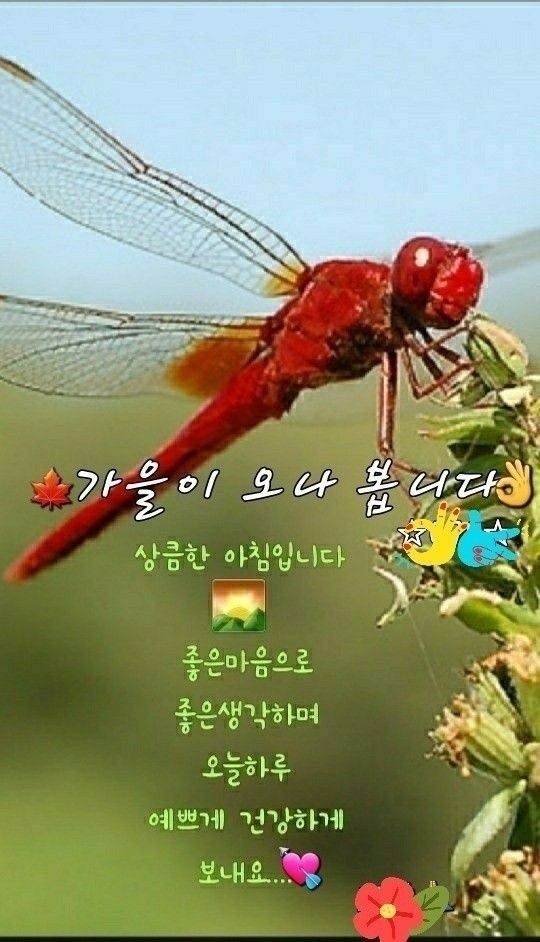 피드에 업로드 된 이미지