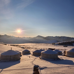 피드에 업로드 된 이미지
