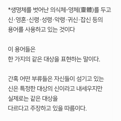 피드 이미지