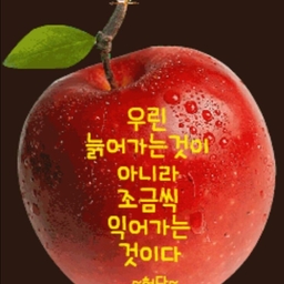 피드에 업로드 된 이미지