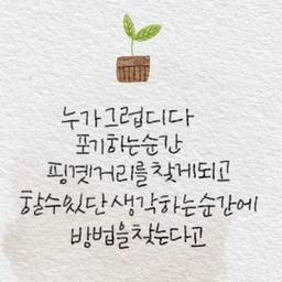 피드에 업로드 된 이미지