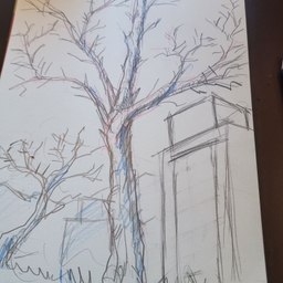 피드에 업로드 된 이미지