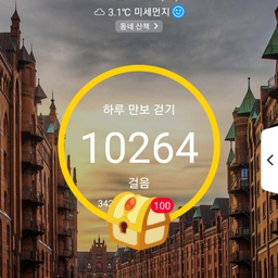 피드에 업로드 된 이미지