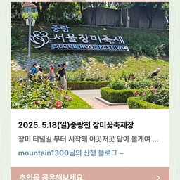 피드에 업로드 된 이미지