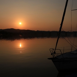 피드에 업로드 된 이미지