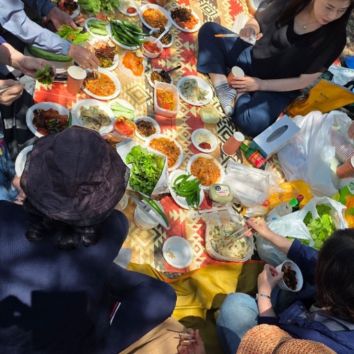 피드 이미지