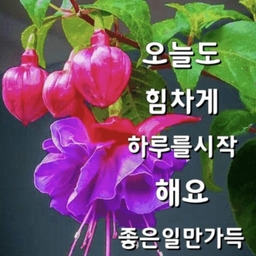 피드에 업로드 된 이미지