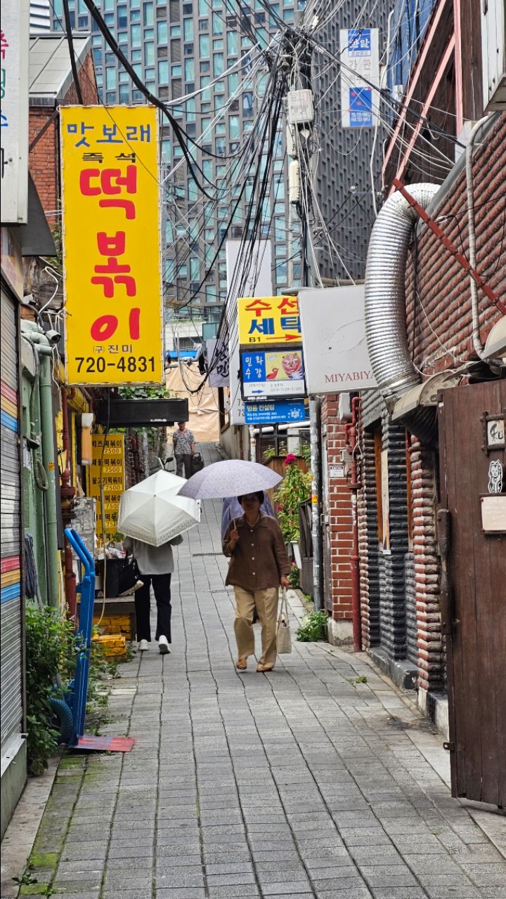 피드 이미지