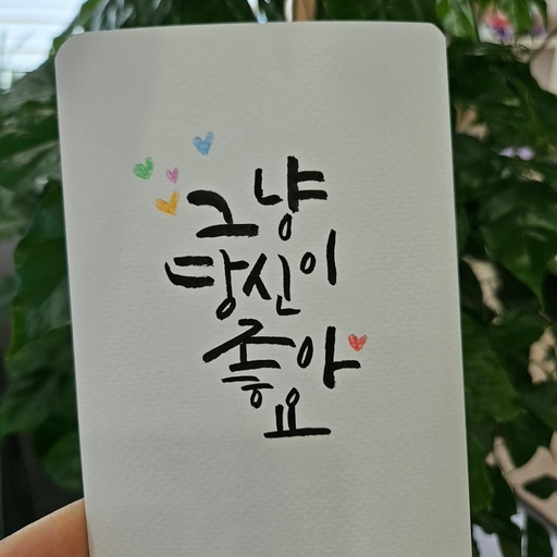 피드 이미지