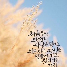 피드에 업로드 된 이미지