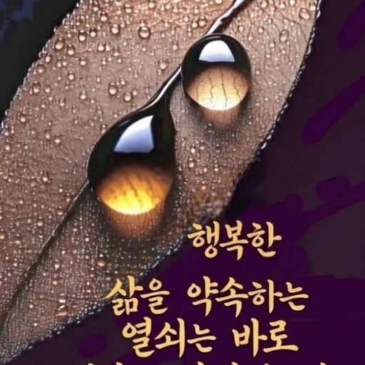 피드 이미지