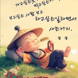 피드에 업로드 된 이미지
