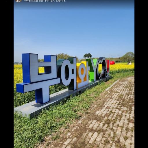 피드 이미지