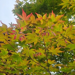 피드에 업로드 된 이미지