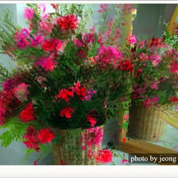 피드에 업로드 된 이미지