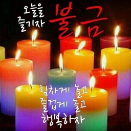 피드에 업로드 된 이미지