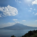 피드 작성자 프로필