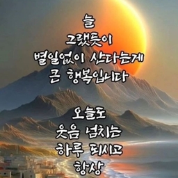 피드에 업로드 된 이미지