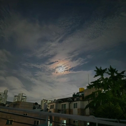 피드에 업로드 된 이미지