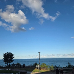 피드에 업로드 된 이미지