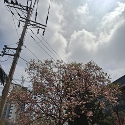 피드에 업로드 된 이미지