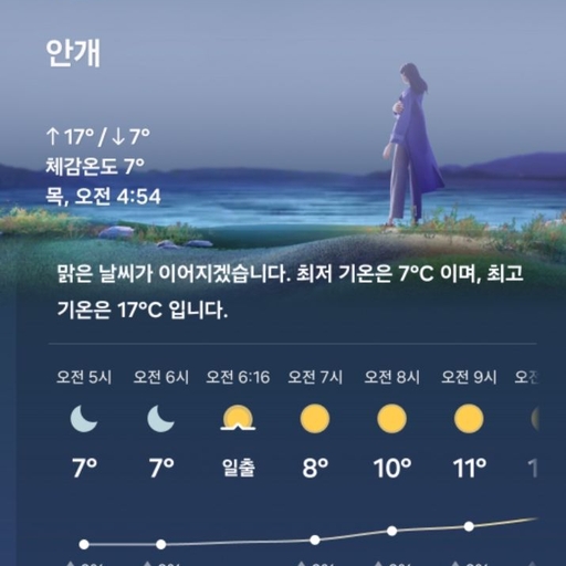 피드 이미지