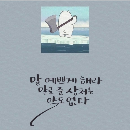 피드 이미지