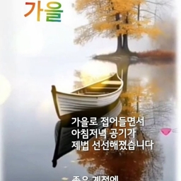 피드에 업로드 된 이미지