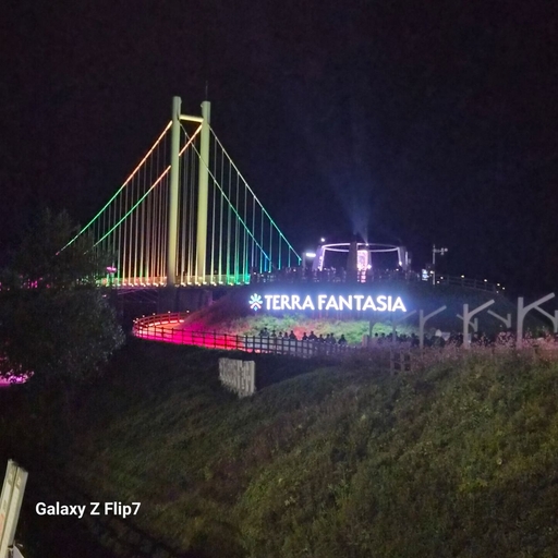 피드 이미지