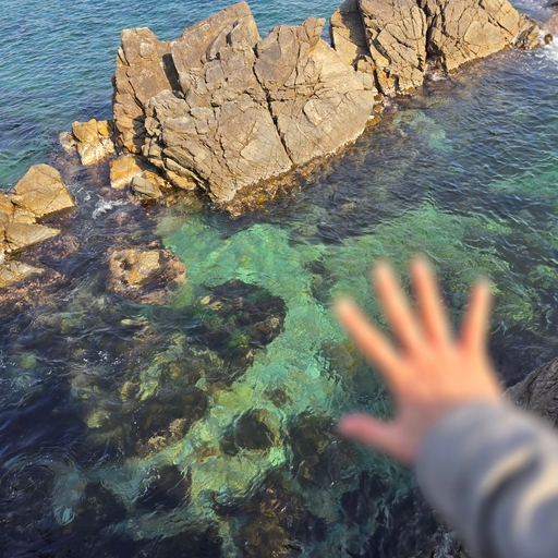 피드 이미지