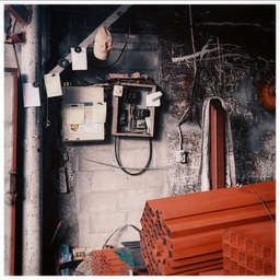 피드에 업로드 된 이미지