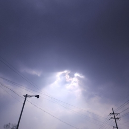 피드에 업로드 된 이미지