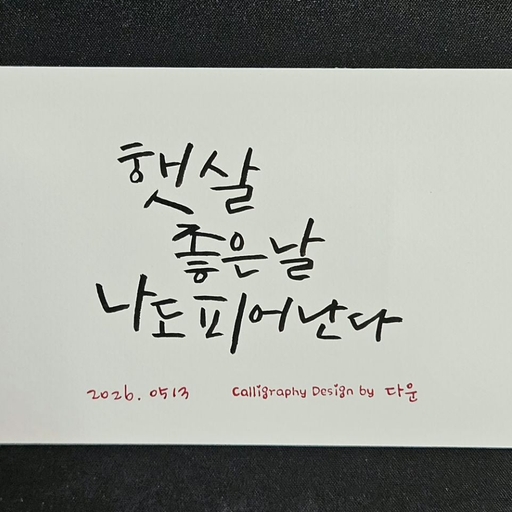 피드 이미지