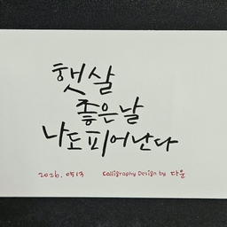 피드에 업로드 된 이미지