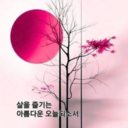 피드에 업로드 된 이미지