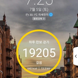 피드에 업로드 된 이미지