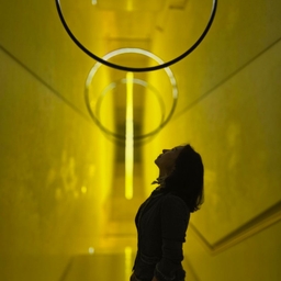 피드에 업로드 된 이미지