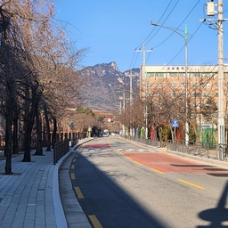 피드에 업로드 된 이미지