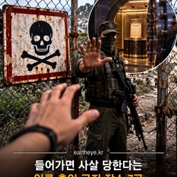 피드에 업로드 된 이미지