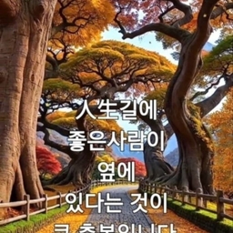 피드에 업로드 된 이미지